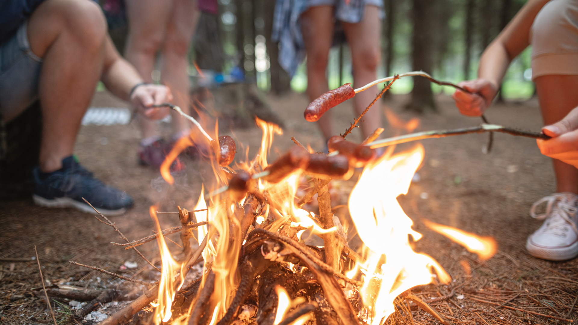 Cómo-encontrar-el mejor-Summer-Camp en-Estados-Unidos